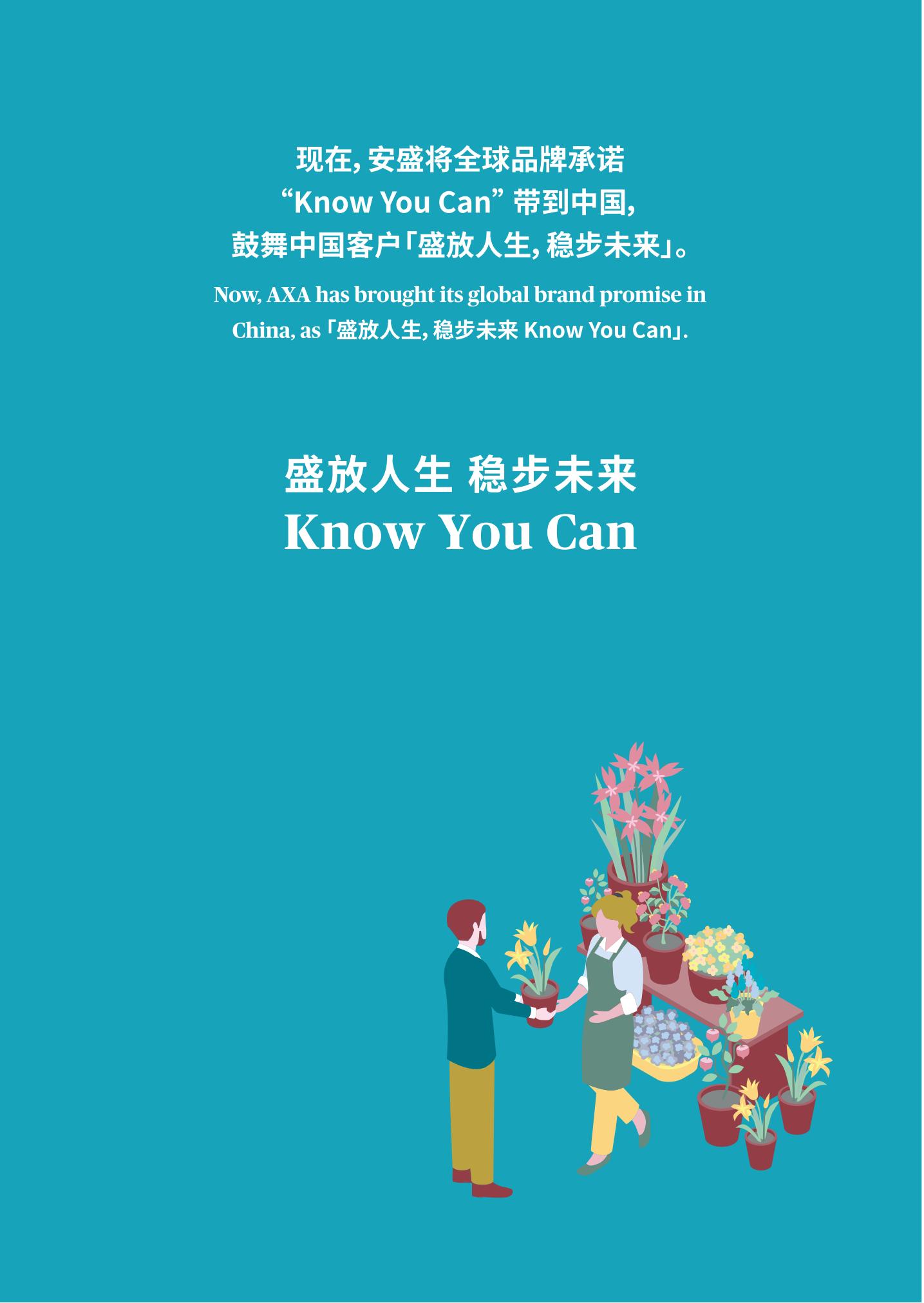 安盛保险公司简介
