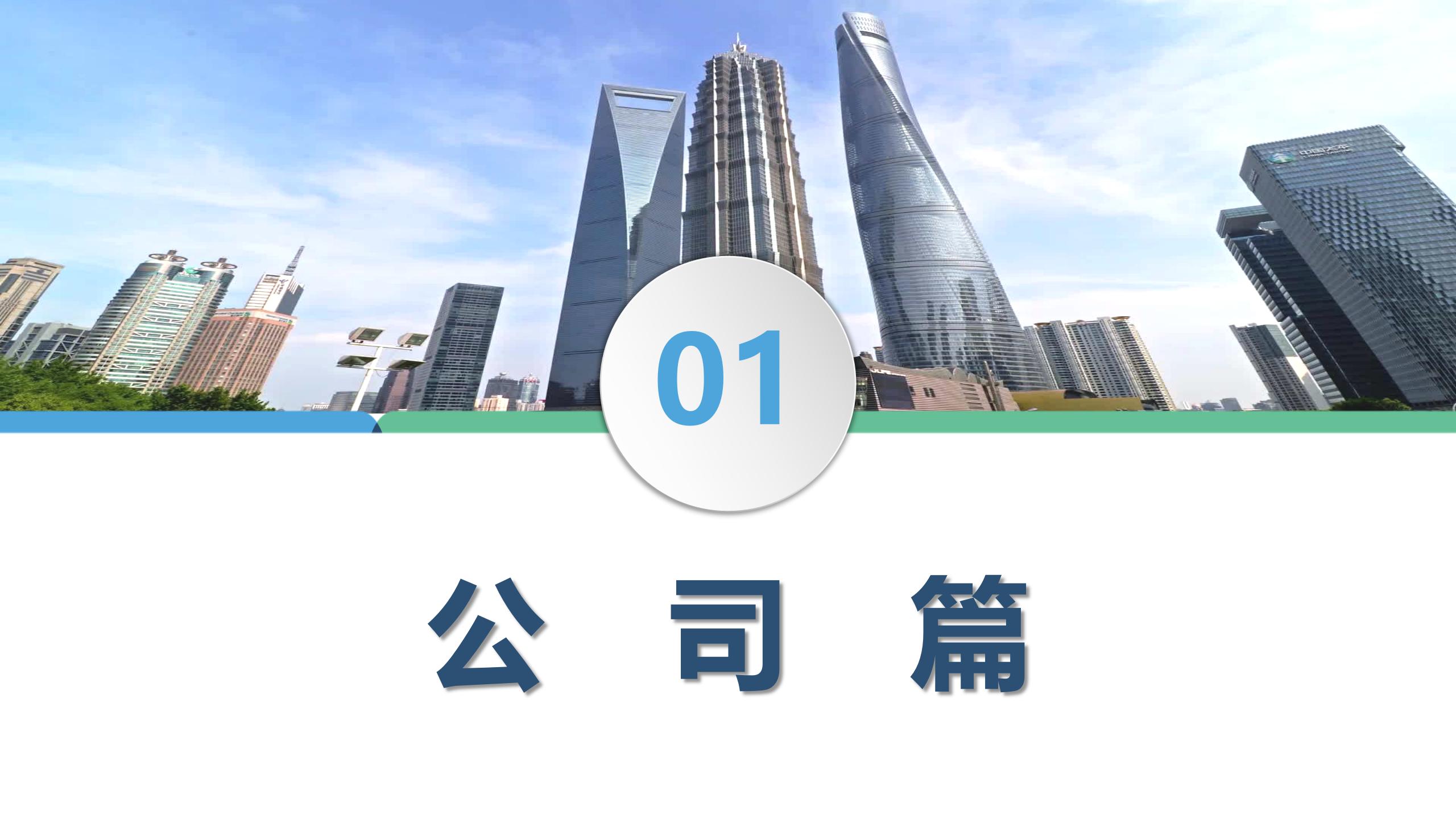 鼎诚人寿公司简介