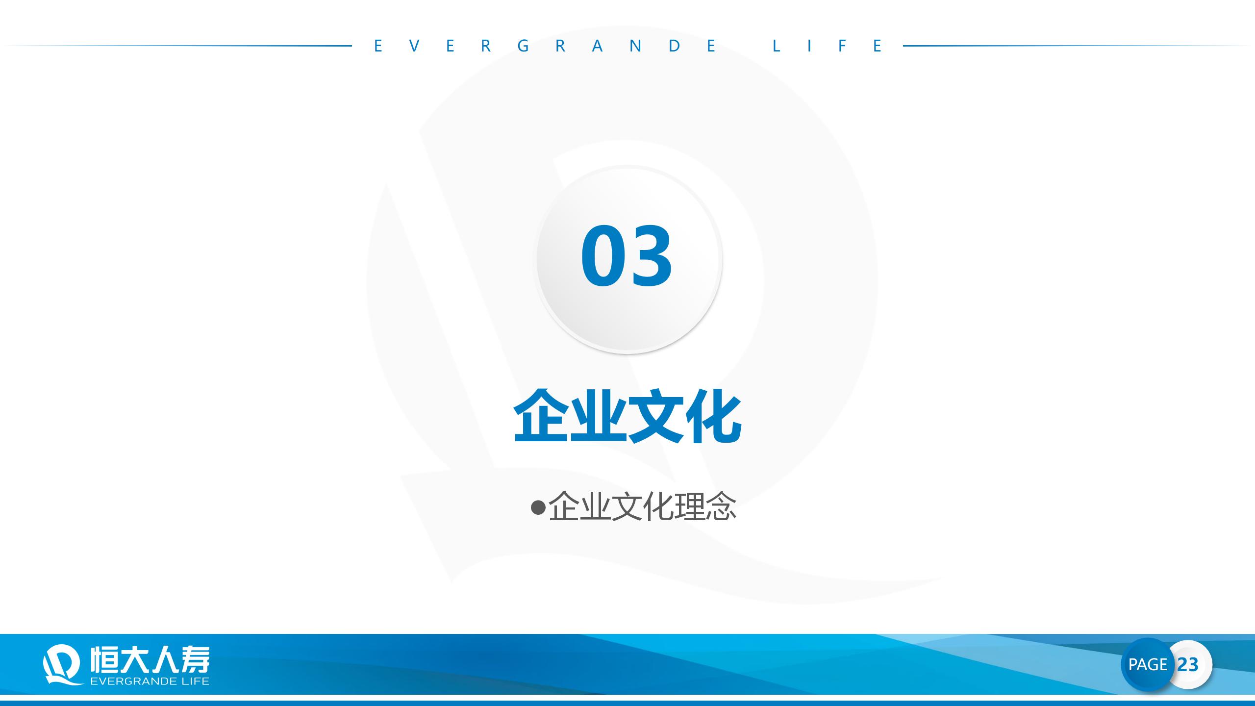 恒大人寿公司简介