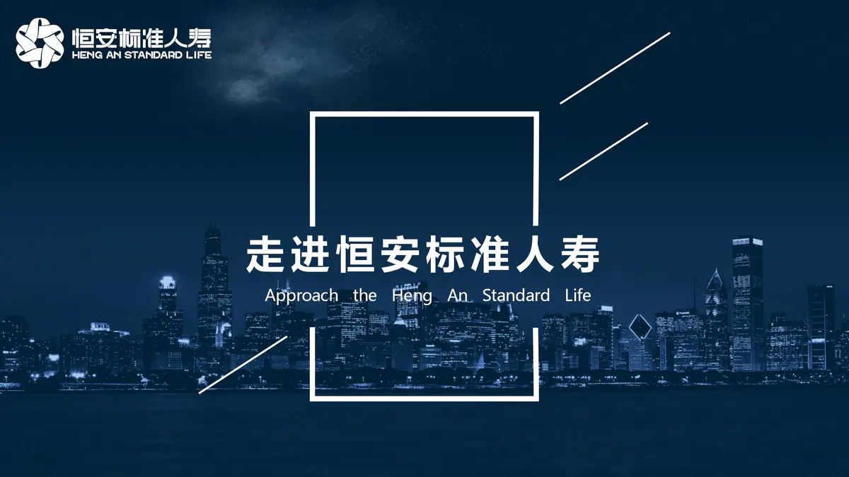 恒安标准公司简介