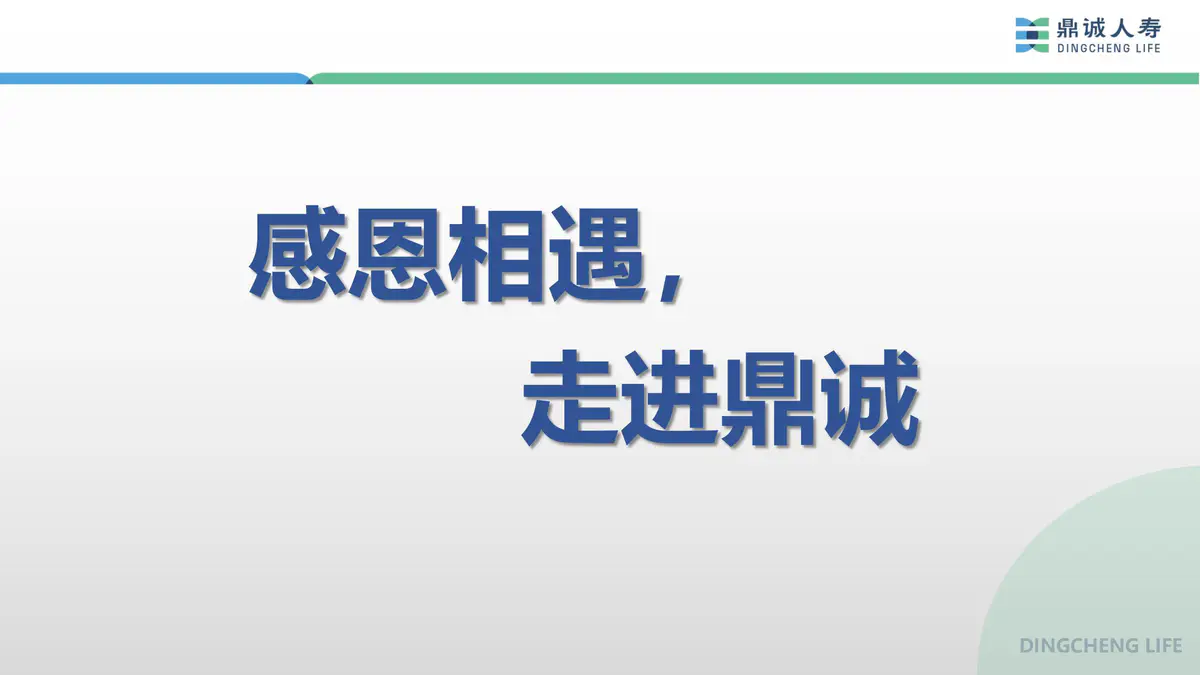 鼎诚人寿公司简介
