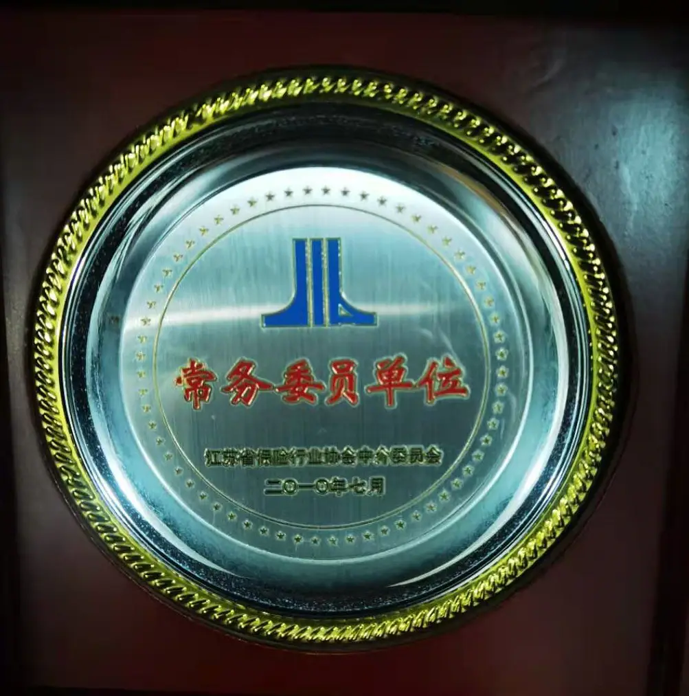江苏东泰保险代理有限公司行业荣誉