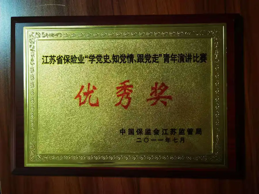 青年演讲比赛优秀奖